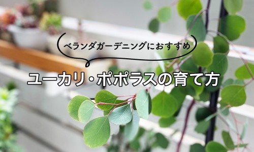 达英35是吃21天停7天吗-达英20天与21天有区别吗-专业达英吃20天可以吗平台-达英吃了21天停药多久来月经