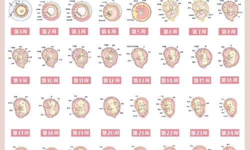 吃达英21天会怀孕吗-达英20天与21天有区别吗-专业达英吃20天可以吗平台-达英吃了21天停药多久来月经